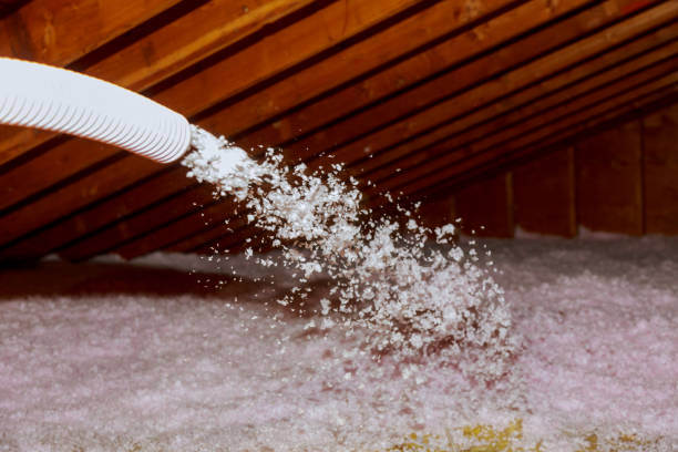 Best Best Insulation Companies  in Lakewood Park, FL