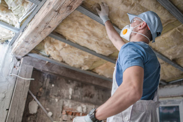 Best Insulation Replacement Services  in Lakewood Park, FL