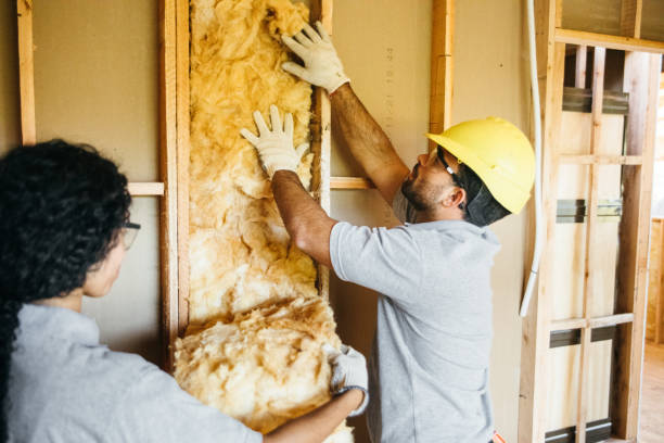 Best Attic Insulation Installation  in Lakewood Park, FL