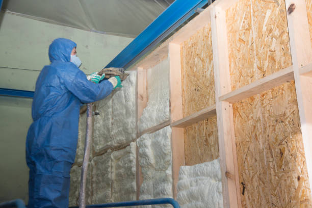 Best Local Insulation Services  in Lakewood Park, FL